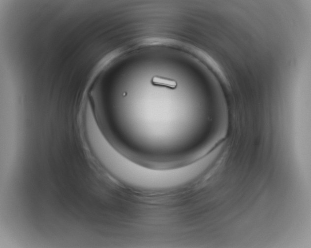 X0000113921330200910011504