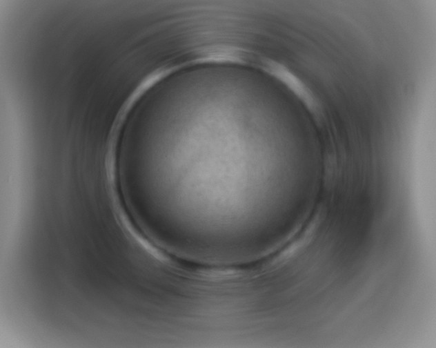 X0000113921331200910011504