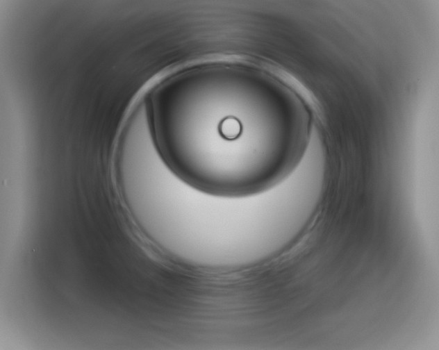 X0000113921332200910011504