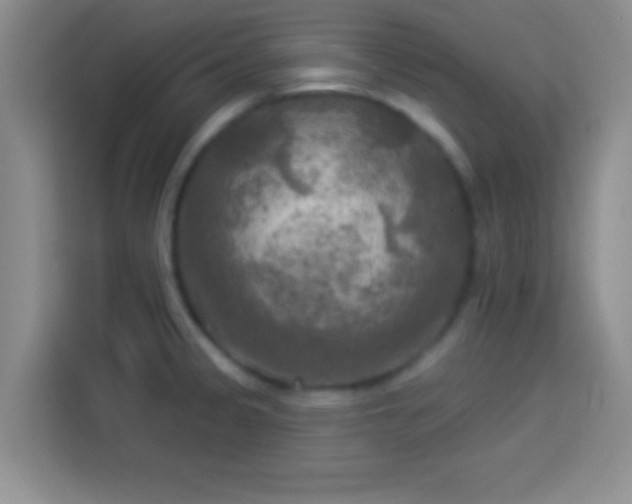 X0000113921333200910011504