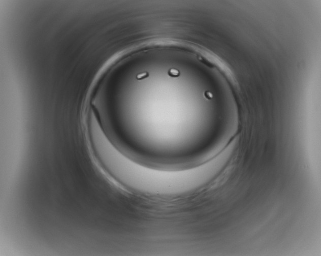 X0000113921334200910011504