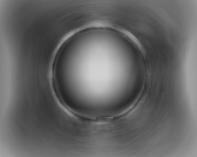 X0000113921335200910011504