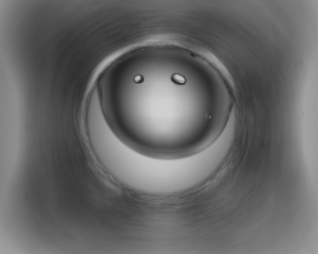 X0000113921336200910011504