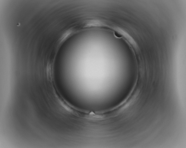 X0000113921337200910011504