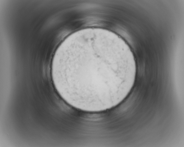 X0000113921338200910011504