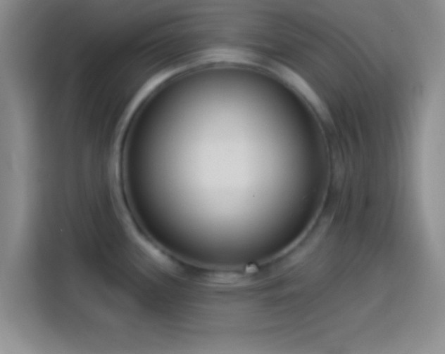 X0000113921339200910011504