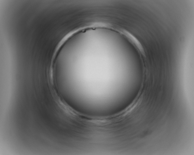 X0000113921340200910011504