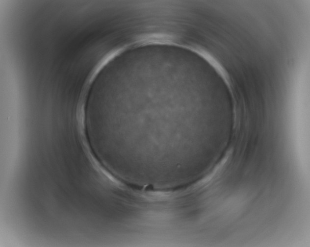 X0000113921341200910011504