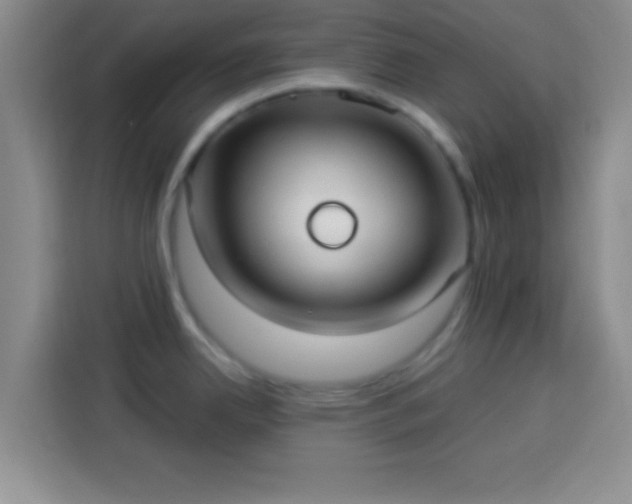 X0000113921342200910011504