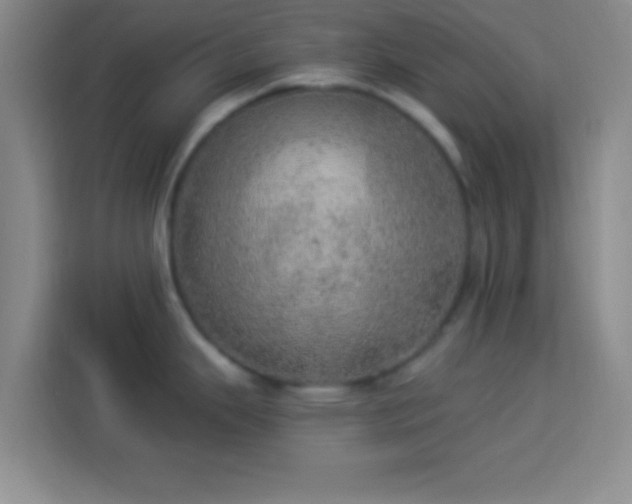 X0000113921343200910011504