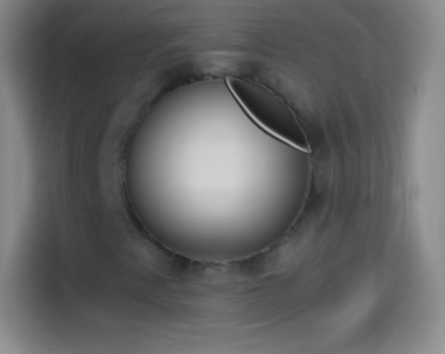 X0000113921345200910011504