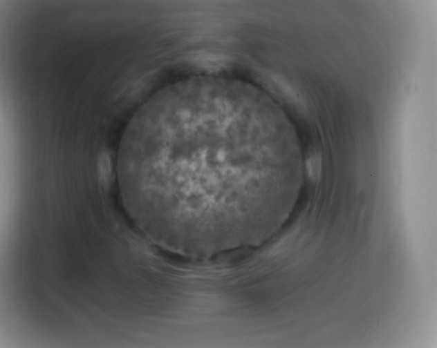 X0000113921347200910011504