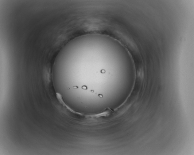 X0000113921348200910011504