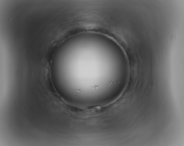 X0000113921349200910011504