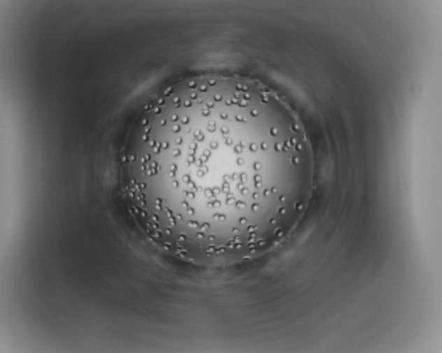 X0000113921350200910011504