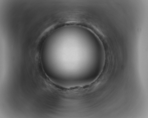 X0000113921351200910011504