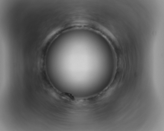 X0000113921352200910011504