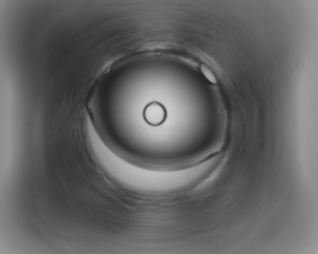 X0000113921353200910011504