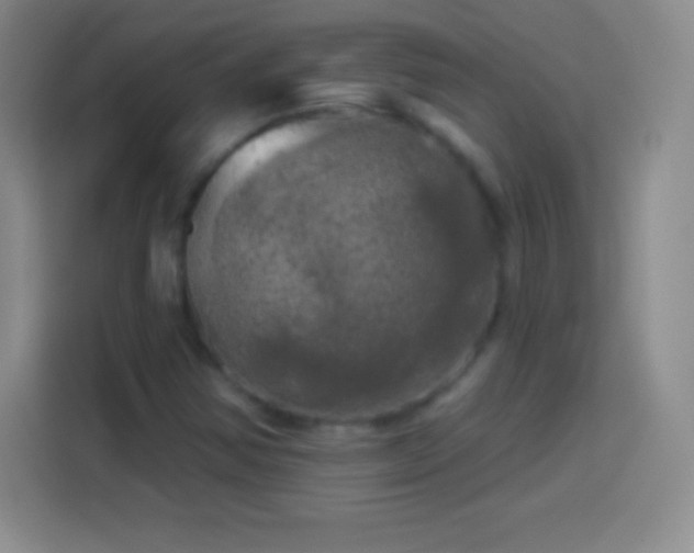 X0000113921354200910011504