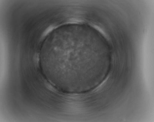 X0000113921355200910011504