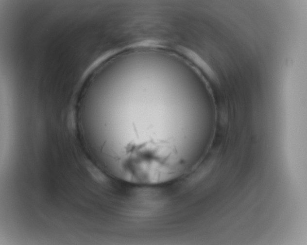 X0000113921356200910011504