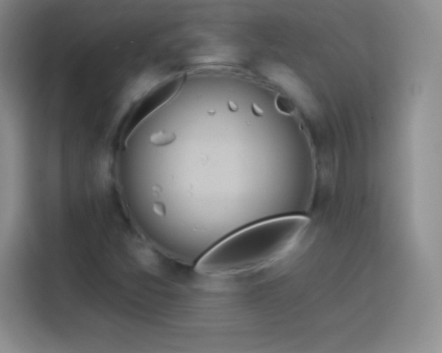 X0000113921357200910011504