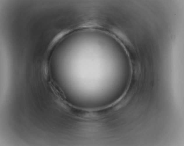 X0000113921358200910011504