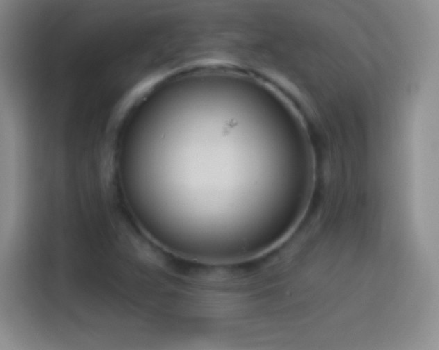 X0000113921359200910011504