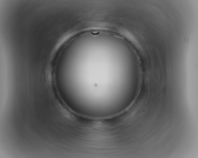 X0000113921360200910011504