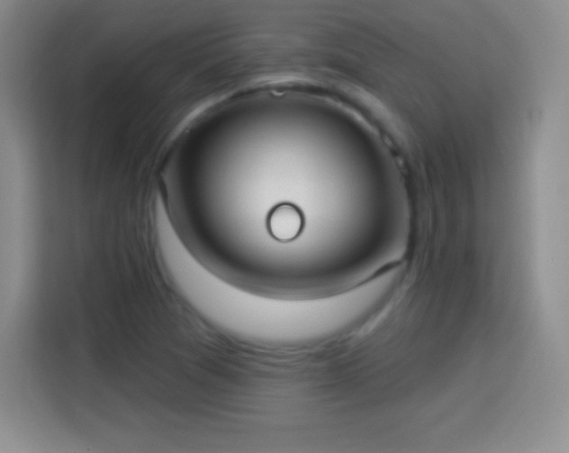 X0000113921361200910011504