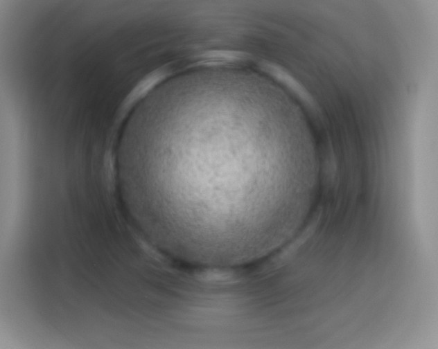 X0000113921362200910011503