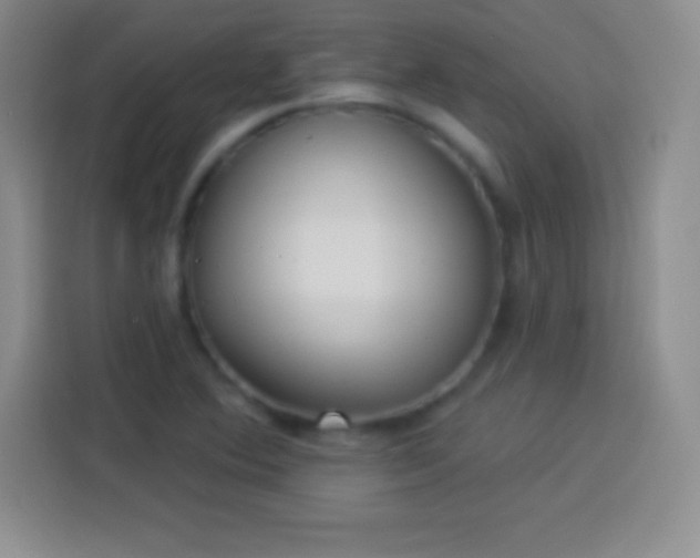 X0000113921364200910011503