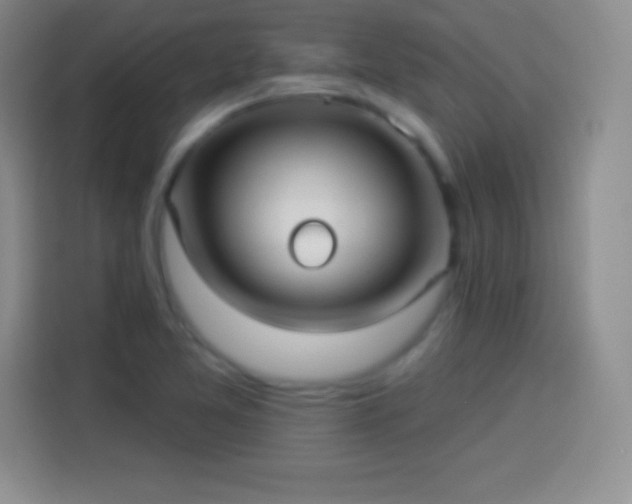 X0000113921365200910011503