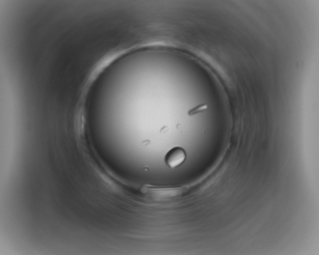 X0000113921367200910011503