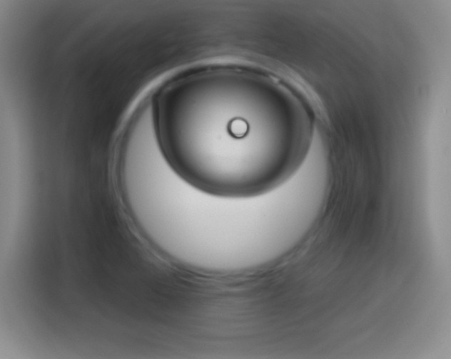 X0000113921368200910011503