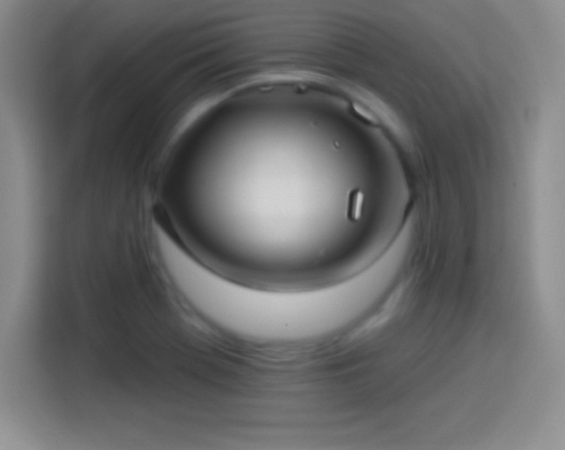 X0000113921369200910011503