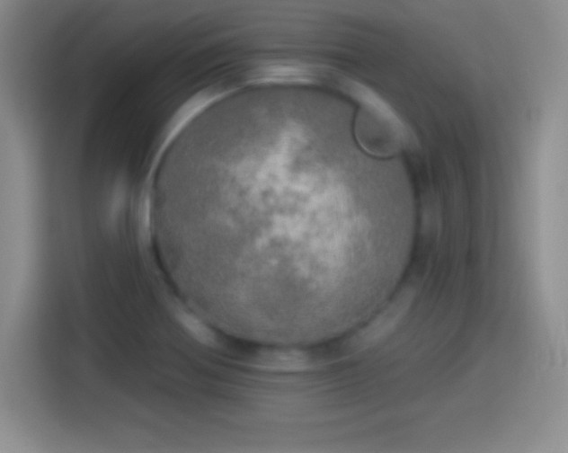 X0000113921370200910011503