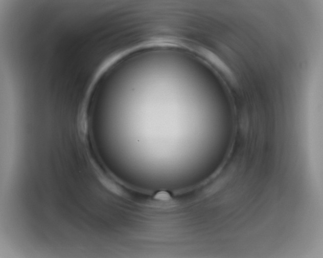 X0000113921372200910011503