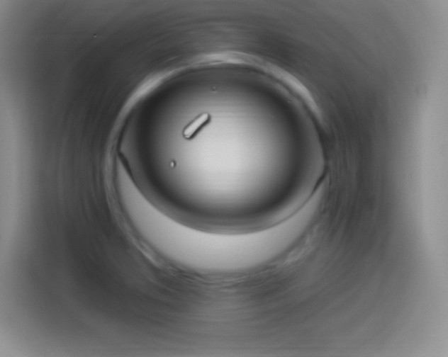 X0000113921373200910011503