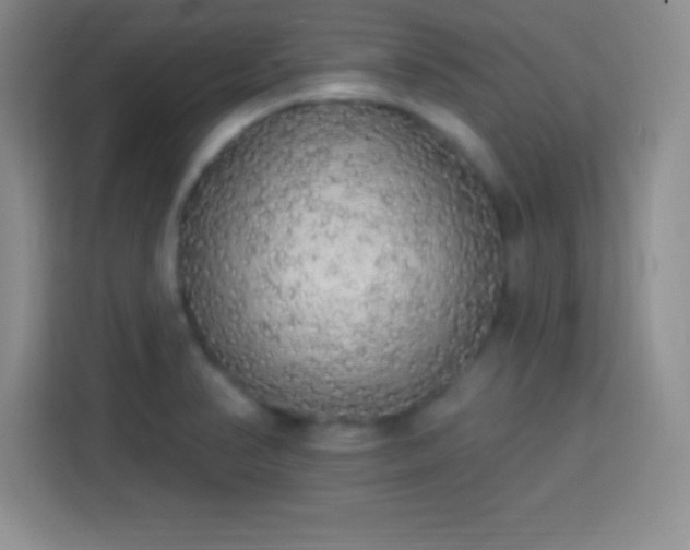 X0000113921374200910011503