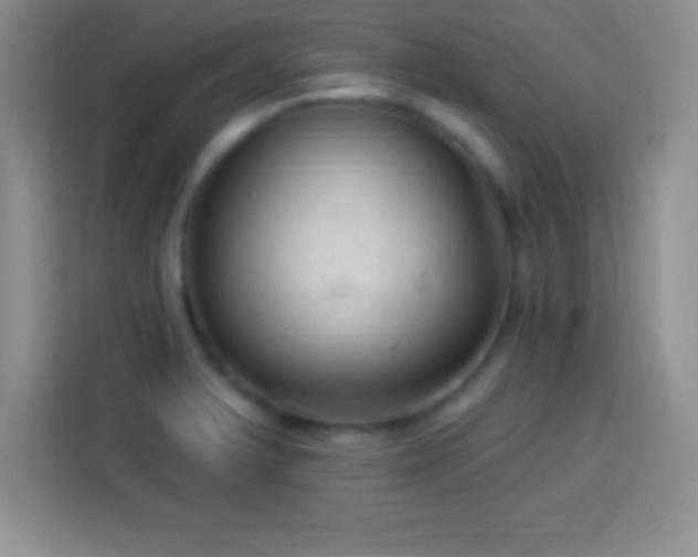 X0000113921375200910011503