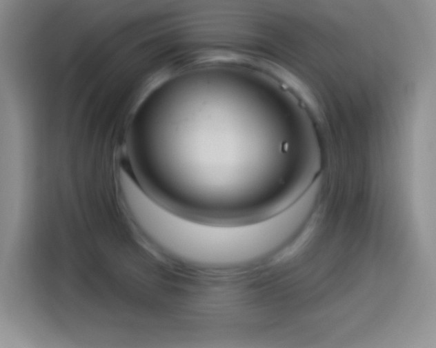 X0000113921377200910011503