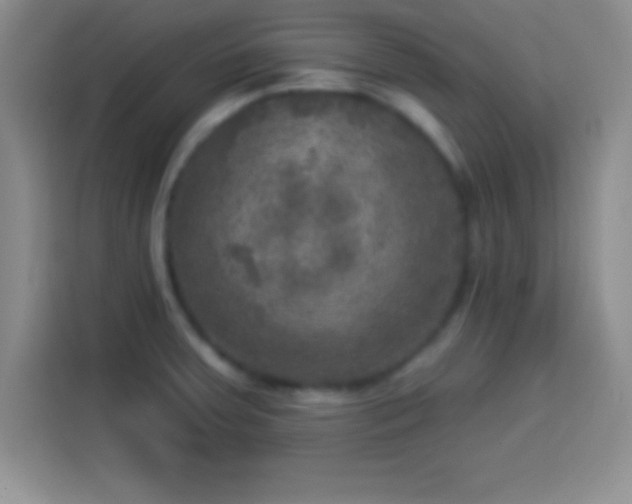 X0000113921379200910011503