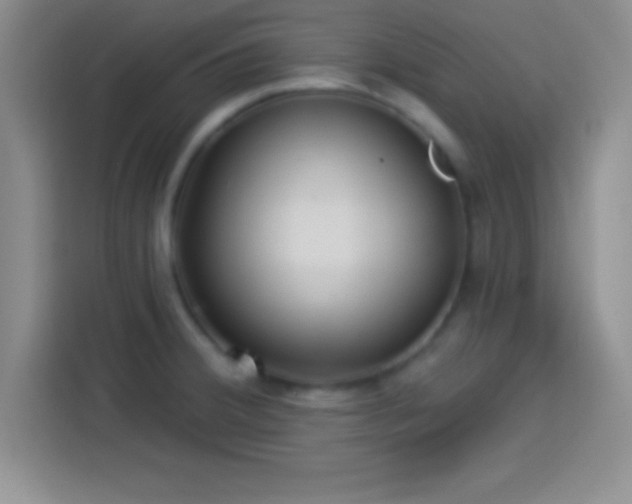 X0000113921380200910011503