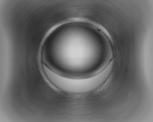 X0000113921381200910011503