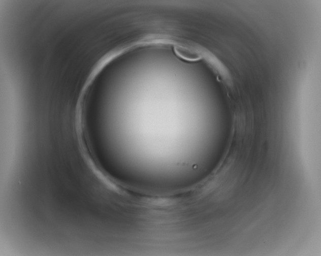 X0000113921382200910011503