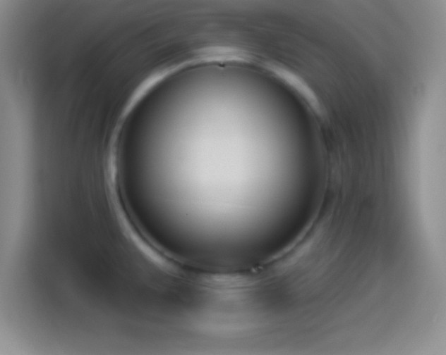 X0000113921383200910011503