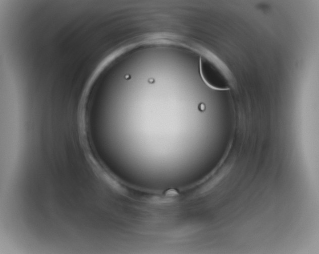 X0000113921384200910011503