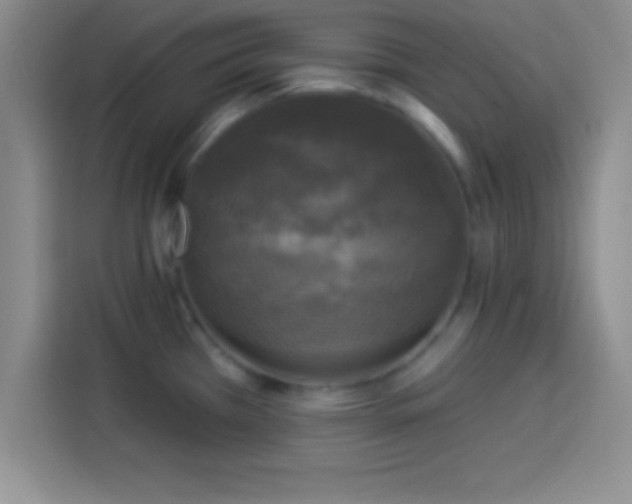 X0000113921385200910011503