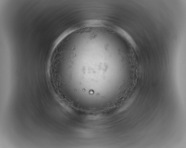 X0000113921386200910011503